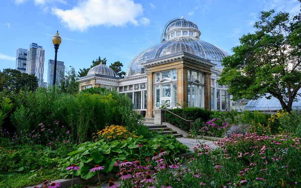 Interior view of Allan Gardens Conservatory, showing tropical plants, blooming flowers, and glass domes creating a serene indoor garden space